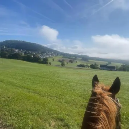 Vendégház Zur Burgschaenke Aremberg